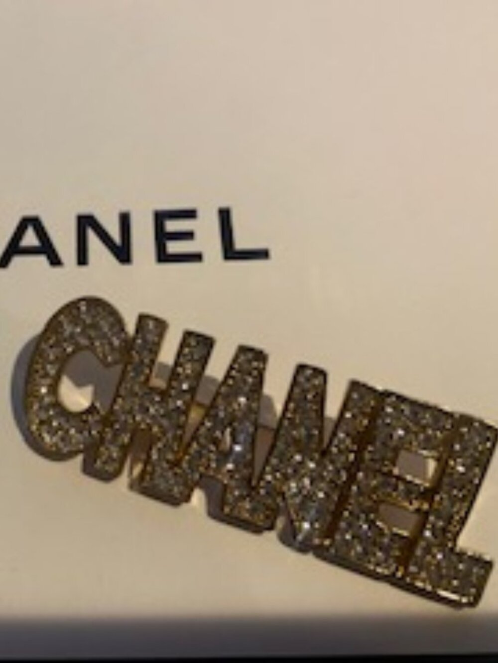 Authentic Chanel VIP Gift Large Brooch